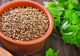 CorianderSeeds