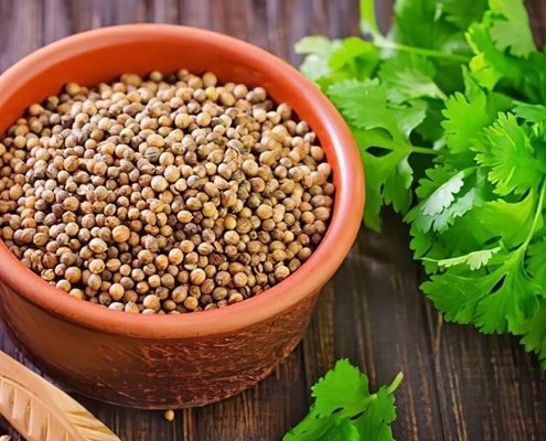 CorianderSeeds