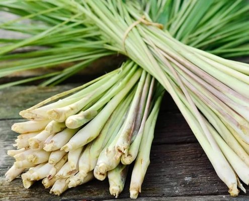 Lemongrass
