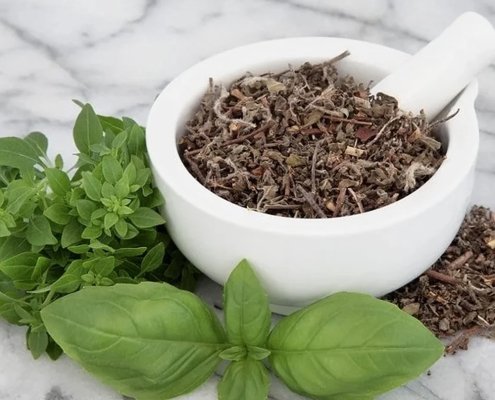 Tulsi